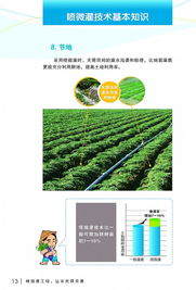 高效節(jié)水 潤澤甬城——寧波市水利局噴微灌技術推廣應用宣傳冊