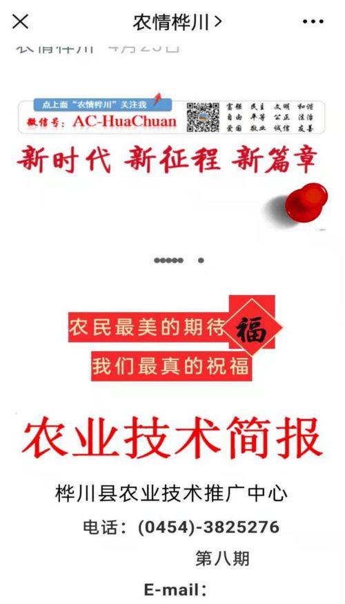 科技助力春耕 服務送到田間——樺川縣農技推廣中心下鄉(xiāng)指導春耕春播