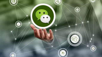 奎屯人,微信再次重拳出擊,這些頭像 昵稱或發(fā)布這些內(nèi)容將被永久封號(hào)