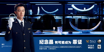 象牙禁貿一周年 海關總署 林草局聯合環保組織發布公益廣告